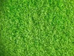 Met deze speelrijst lichtgroen blijf je spelen!