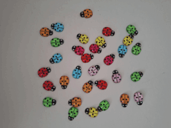 Lieveheersbeestjes (klein)