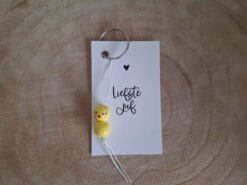 gelukspoppetje liefste juf. Met dit cadeautje scoor je hoge punten!