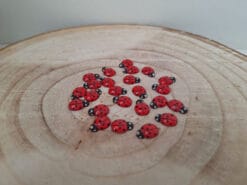 lieveheersbeestjes rood b