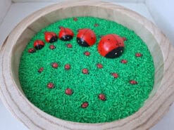 lieveheersbeestjes set d