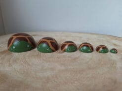 schildpadden set (a). Mooi en leerzaam zijn deze prachtige schildpadjes