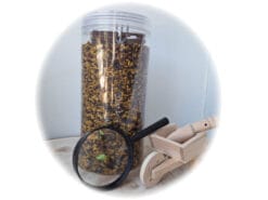 Met deze groentetuin mix 5a kun je wel blijven tuinieren en de mooiste avonturen bedenken.