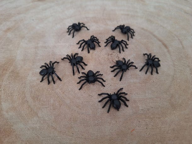 Met deze spinnen klein kun je lekker griezelen zonder echt bang te zijn.