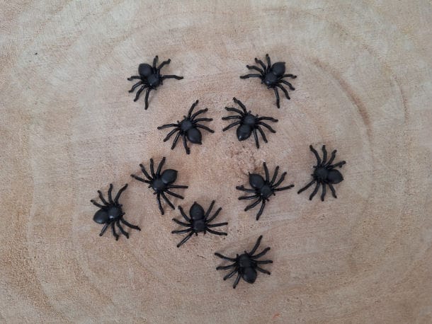 Met deze spinnen klein kun je lekker griezelen zonder echt bang te zijn.