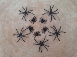 Met deze spinnen mix kun je lekker griezelen zonder echt bang te zijn.