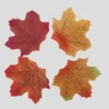Vier herfstblaadjes met warme kleuren