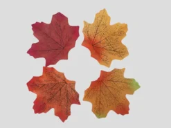 Vier herfstblaadjes met warme kleuren